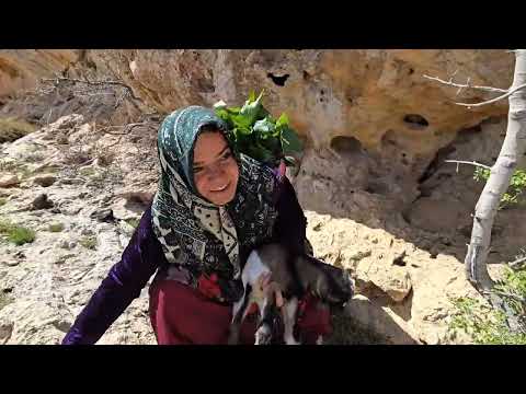 An amazing rescue in the mountains From picking herbs to