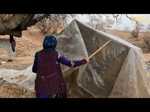 Nomadic Grace A Mother and Her Children in the Heart of a