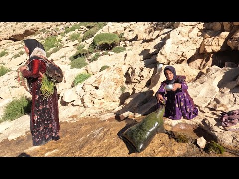 Drinking water of Iranian nomads and hardships of life