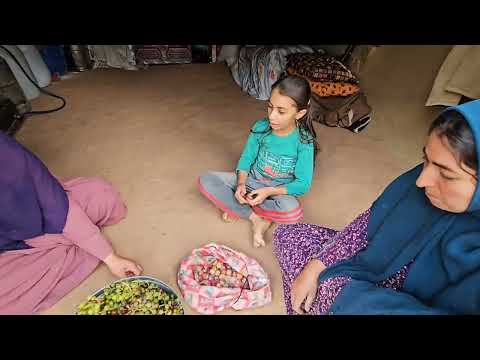 Kulthum s dangerous adventure in the mountains From the