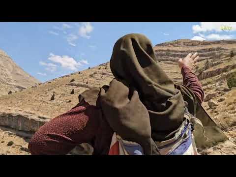 Kulthum s long journey for mountain fruits Zolma Bazegasht