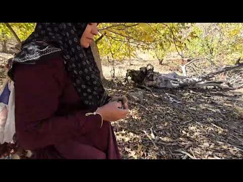 Kulthum s emotional journey Kulthum on an adventurous path