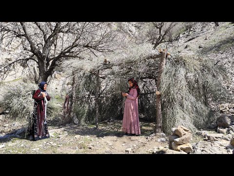 Canopy making by Iranian nomadic women by the river