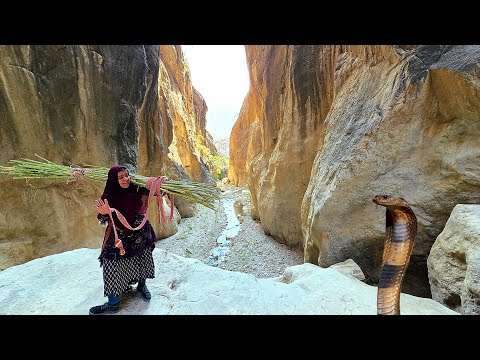 Mysterious Valleys and Scary Snakes Kulthum s Adventurous
