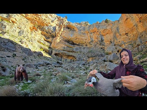 Horned bird discovered on dangerous bear trail In search of