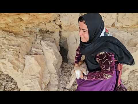 Kulthum s tough day in the mountains Saving a newborn baby