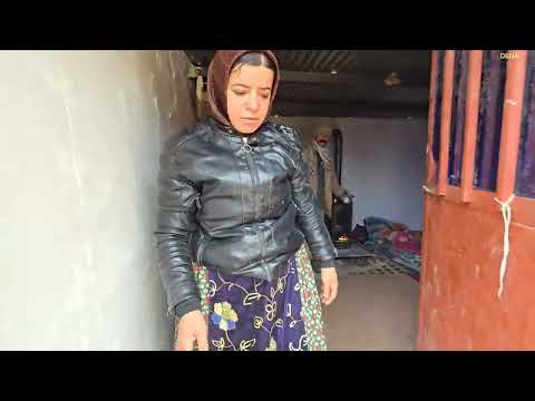 Kulthum s Dangerous Mission Searching for a Life Saving