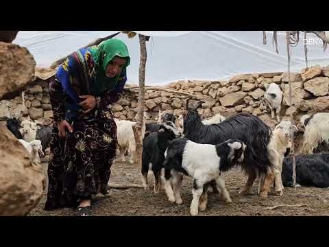 Natural challenges how a nomadic family faces floods