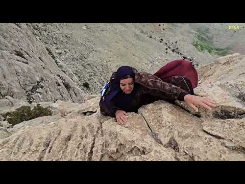 Kulthum s journey to the mountains picking mountain herbs