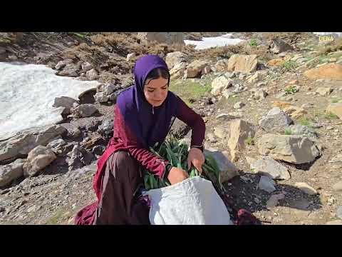 A trip to the mountains picking rare plants and mushrooms