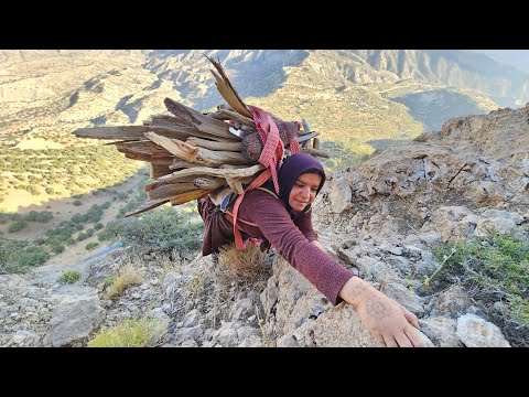 Kulthum s Breathtaking Adventure In Search of Firewood in
