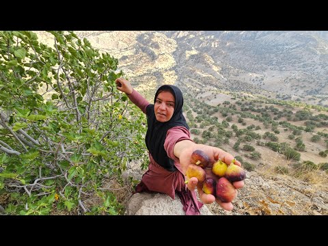 Exciting Travel Story Kulthum s Breathtaking Search for the