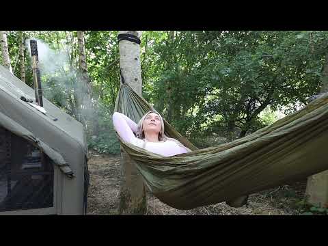 Summer Camping In a British Forest Woodland Nature ASMR