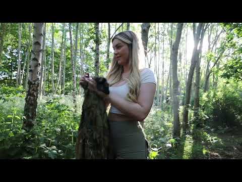 Summer Time Camping in the Forest Summer Nature ASMR