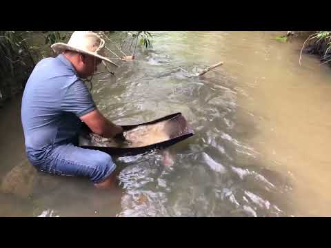 Searching for Gold at the Risk of Their Lives goldmines