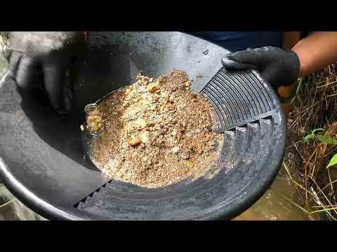 Hunting for Gold and Treasure in a Lost World goldmines