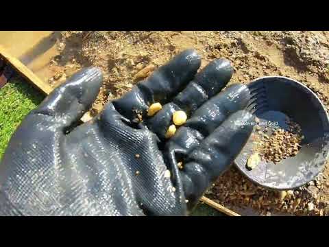 Massive GOLD Found Here Totally Unexpected goldmines gold