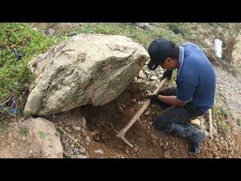 This Gold Deposit Will Shock You Massive Nuggets Unearthed