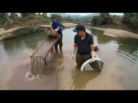 Gold Rush Adventure Rare Huge Gold Nuggets Finally Revealed