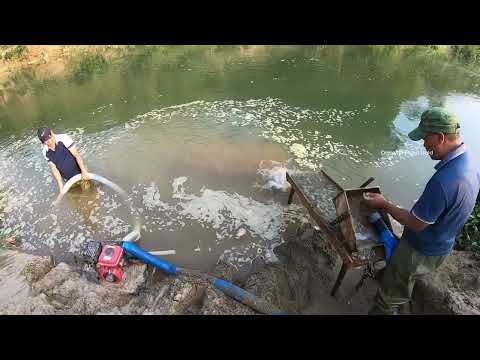 This River Hid a Gold Mine for Years Until We Found It gold