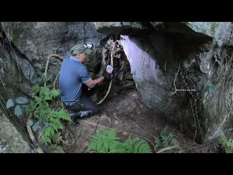 Shocking Find GOLD and Old Coins Buried Under a Huge Stone