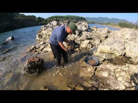 WOW Metal Detector Reveals Gold and Rare Artifacts Under
