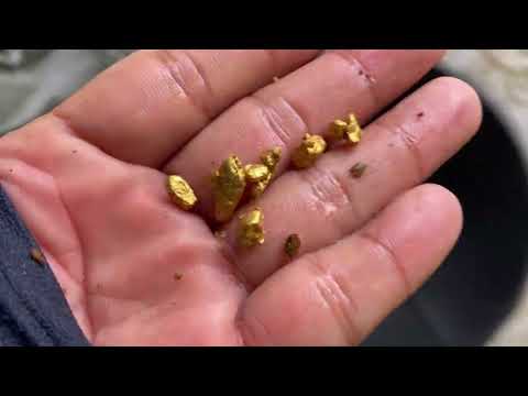 I Found the Biggest Hidden Gold Treasure goldmines gold