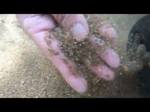 Huge Gold Discovery You Won t Believe What We Found