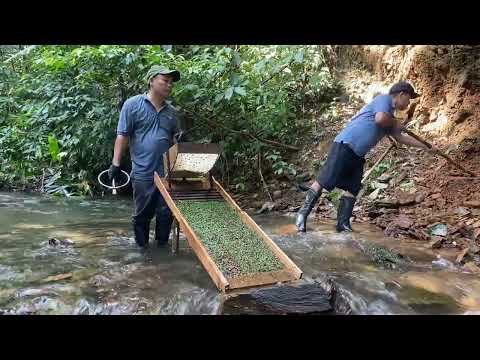 SHOCK Digging Up Giant Gold Nuggets Worth a Fortune