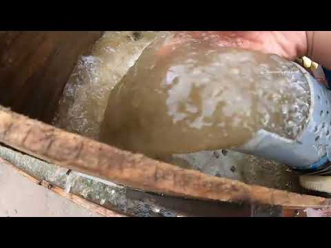 Gold Rush Shock Huge Gold Nuggets Discovered Unexpectedly