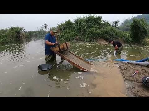 Gold Prospecting Success A Gold Mine Found Beneath the