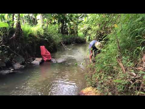 Gold Hunters Deep in the Wild goldmines gold goldmining