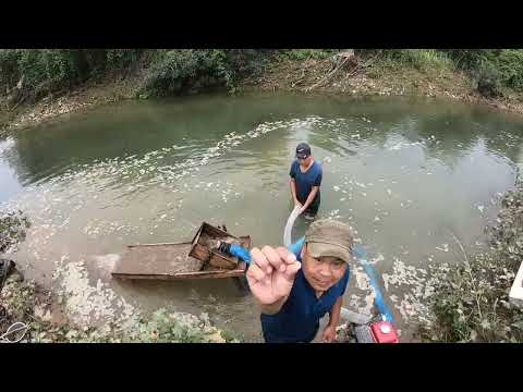 The Wildest Gold Hunt of Our Lives gold