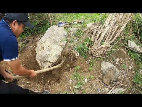 WOW Massive Gold Nugget goldmines gold goldmining