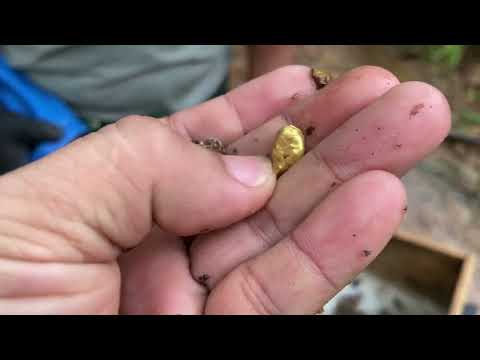 River Stones Full of GOLD