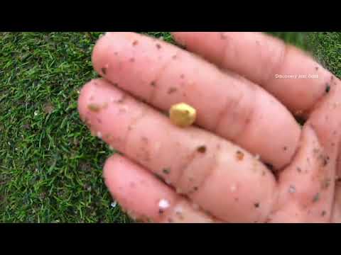 Big Gold Hidden Beneath the River Rare Treasure Found gold