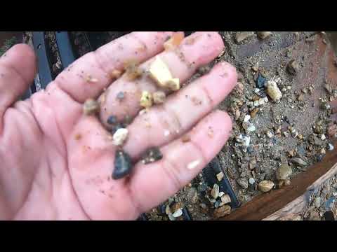 River of Gold Found Nature s Hidden Treasure Revealed