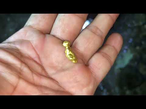 Shock I Just Found the BIGGEST GOLD Nugget Ever Discovered