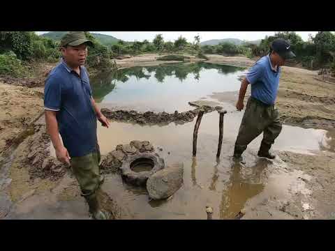 Shocking Gold Discovery Giant Nuggets Hidden for Years gold