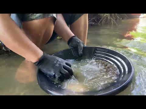 Uncovering Gold No One Expected goldmines gold goldmining