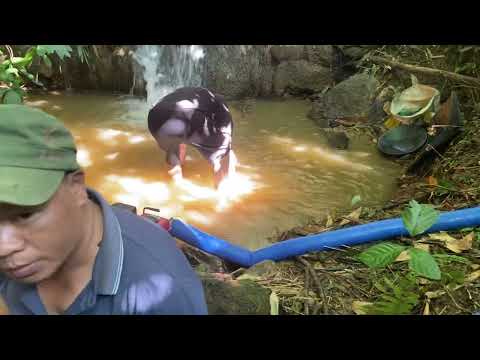 INSANE Discovery The Largest Gold Nugget Ever Found in the