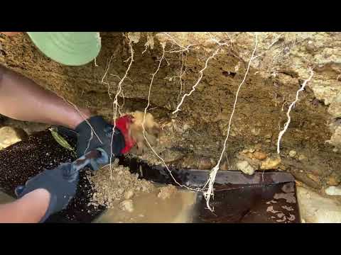 Hunting for GOLD in the wilderness goldmines gold