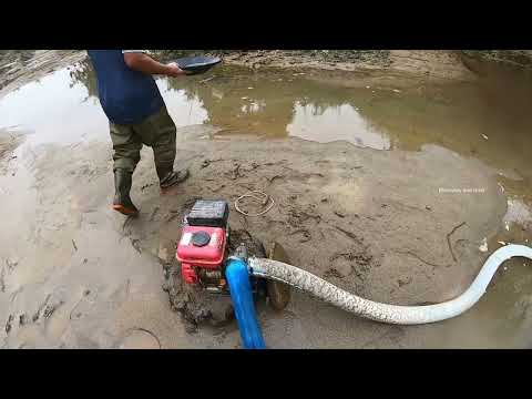 Gold Rush Shock Huge Gold Deposits Found in Remote Region