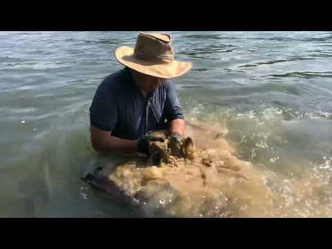 Gold Lost Beneath the Waters goldmines gold goldmining