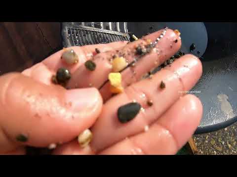Gold Rush Moment I Struck GOLD in the Wild goldmines gold