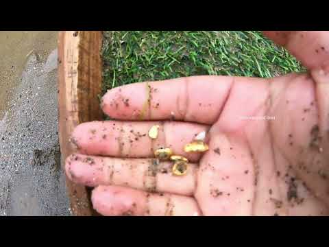 This Hidden Spot Has Many Large Gold Nuggets gold goldmining