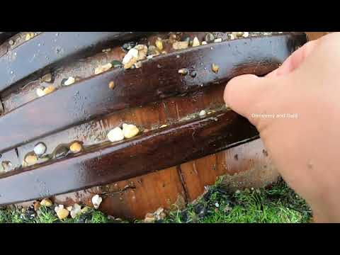 Gold Hunting Finding Gold and Money Under River Sand gold