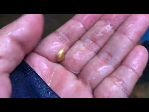 Secret Cave Forbidden Treasure The Hidden Stream of Gold