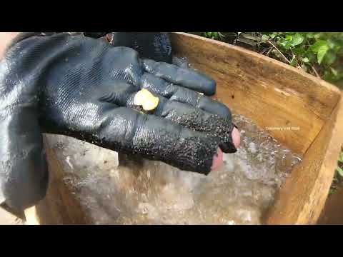 A Miner s Dream Insane Gold Find Caught on Camera