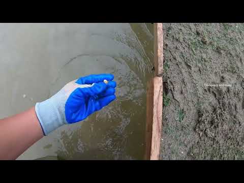Gold Rush Explosion Huge Gold Deposits Revealed gold